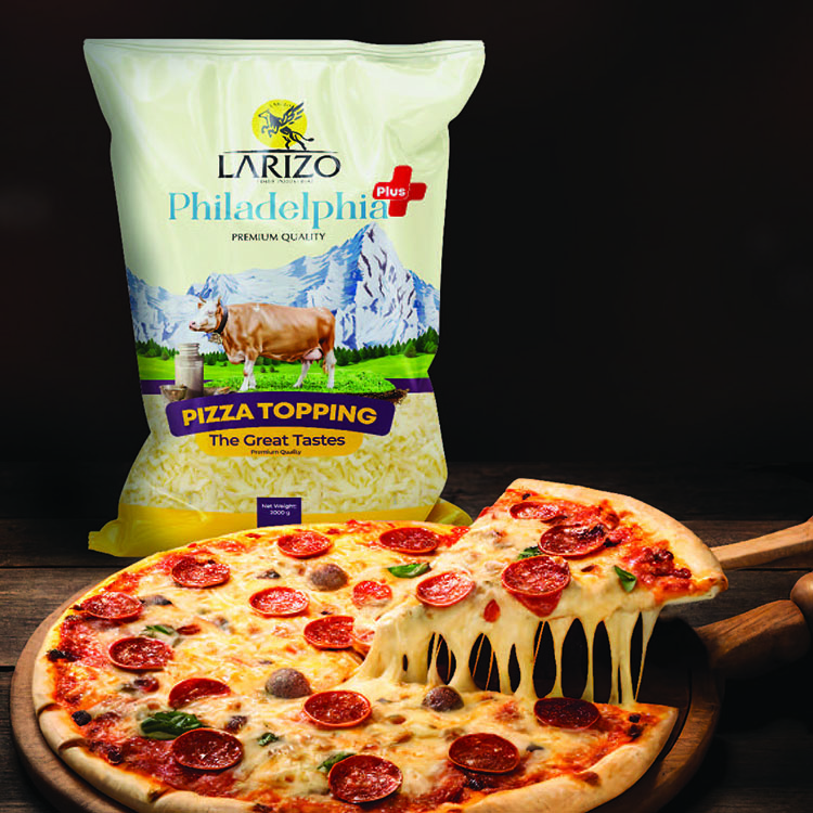 Larizo Philadelphia Plus Cheese 2kg